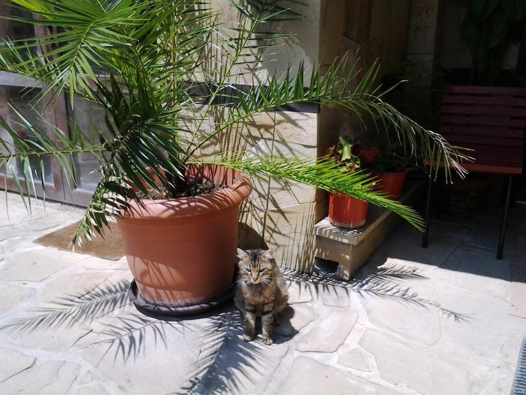 Guest House Yanina Varna Exterior foto